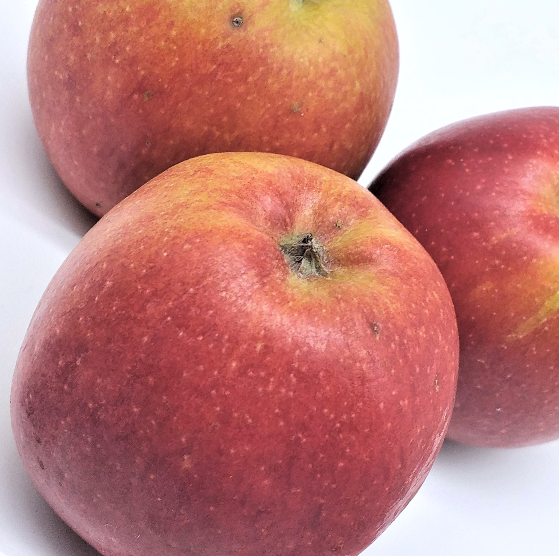 Äpfel Braeburn 1 kg