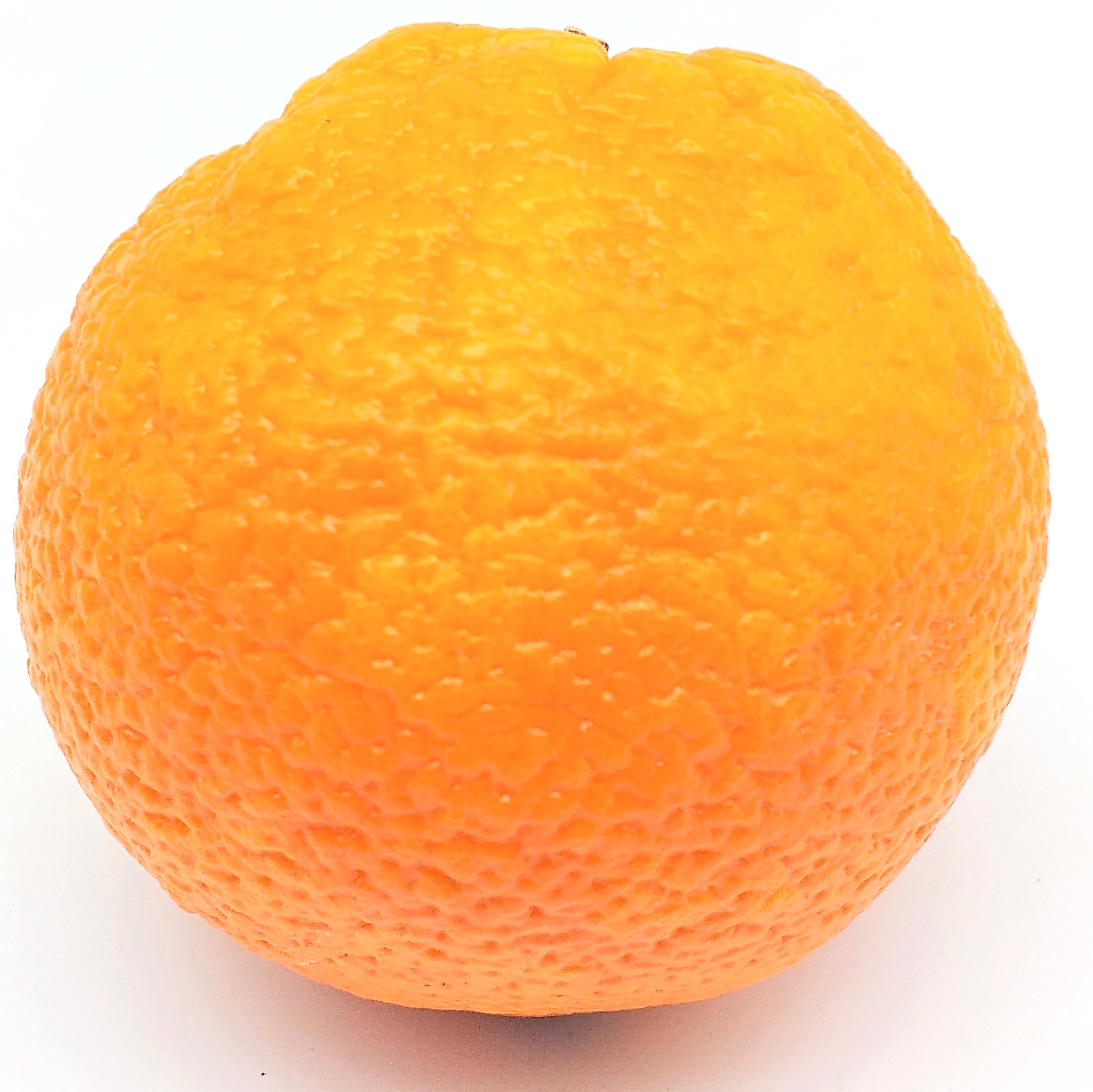 Orangen 1 St. ca. 280g